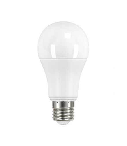 IQ-LEDDIM ściemnialna A60 15W-CW (Zimna) Lampa z diodami LED Kanlux 27293 IQLED