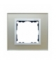 Ramka 1-krotna szklana srebro / aluminium 82917-62