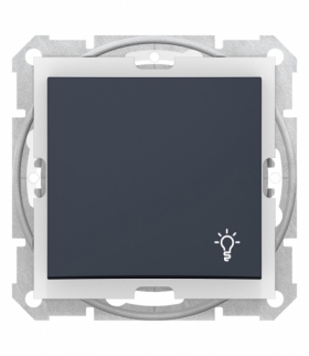 Sedna Przycisk światło IP44 grafit Schneider SDN0900370