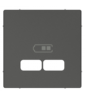 Merten Płytka cent. gn.ład.USB antracytowy SysM