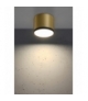 TUBA LAMPA SUFITOWA 9W LED 8,8/7,5 CZARNY+ZŁOTY MAT 4000K Candellux 2275956