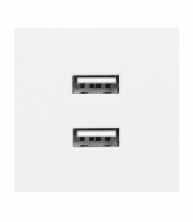 NOEN USB x 2, podwójny port modułowy 45x45mm z ładowarką USB, 2,1A 5V DC, biały Orno OR-GM-9010/W/USBX2