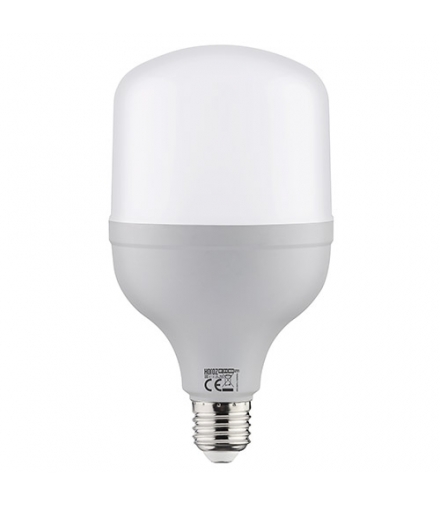 Lampa z diodami SMD LED TORCH LED-20 E27 20W 4000K 03170