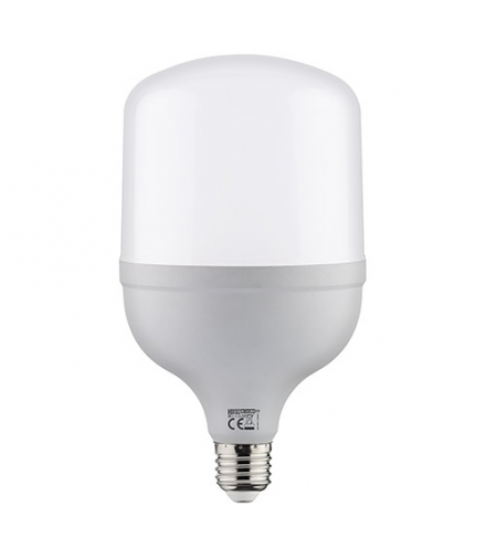 Lampa z diodami SMD LED TORCH LED-20 E27 20W 6500K 03171
