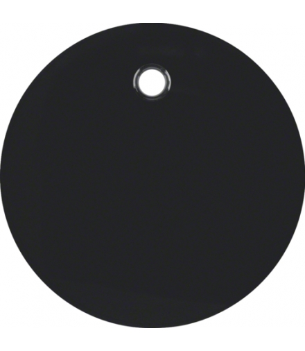 R.1/R.3 Płytka czołowa do łącznika cięgłowego, czarny, połysk Berker 11462045