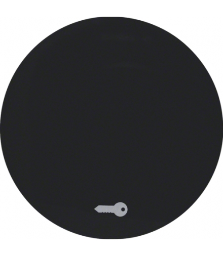 R.1/R.3 Klawisz z nadrukiem symbolu "klucz" do łącznika klawiszowego pojedynczego, czarny, połysk Berker 16202015