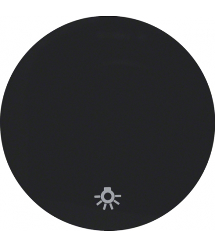 R.1/R.3 Klawisz z nadrukiem symbolu "światło" do łącznika klawiszowego pojedynczego, czarny, połysk Berker 16202035