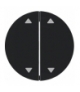 R.1/R.3 Klawisze z nadrukiem symbolu "strzałki" do łącznika 2-klawiszowego, czarny, połysk Berker 16442045